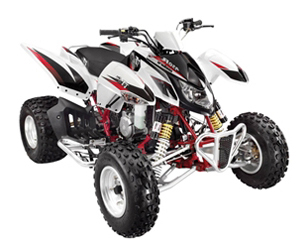 Musterbericht Triton Reactor 450 auf LoF 32kw Typ: 250