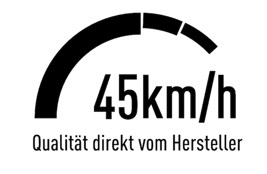 Elektr. Hochrüstung von 25 auf 45 km/h  Euro 4/5 Alpha Mobil Mustang TY50QT