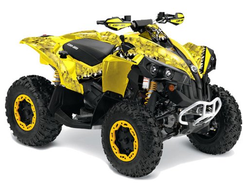 Musterbericht CanAm Renegade 810R