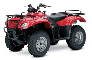 Umbaukit Quadzilla 500 4x4 ES auf LOF 20kw