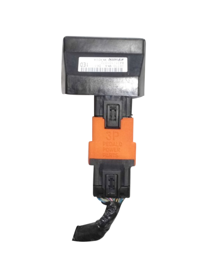 Rückrüstung Honda RC88/89/90/92