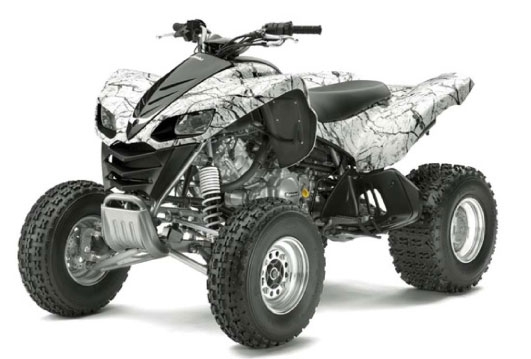 Musterbericht Kawasaki KFX 700 V-Force auf VKP Typ: SV700A